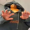 beargoeswhat