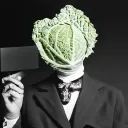 ltlettuce