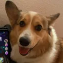 smushnugget