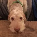 benny_boy123