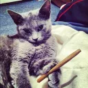 dumbweed