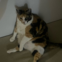 avatar Ceyda⁴²⁰