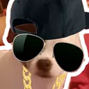 martthegame