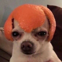 croquette