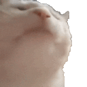 plxzo's profile picture