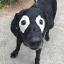 thrustnandbustn