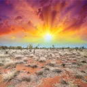 outbackhodler