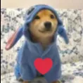 pfp