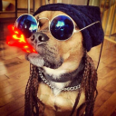 темныйпринц🥀| gvozdex💘( Фета )