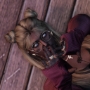 avatar Lina | Genewye