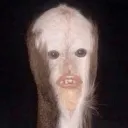 szmegm4