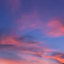 _haydonus_