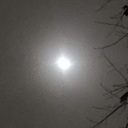 stelle