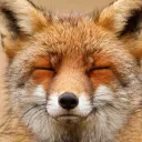 furmarkus