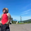 scottyx1