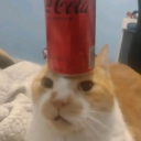 avatar Benkku