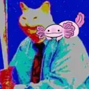 about37cats