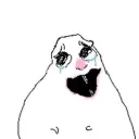 b0ouncy