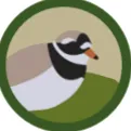 wgpadmin