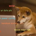 d3lko