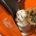 7479