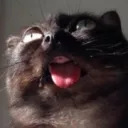 Аватар _keizu_