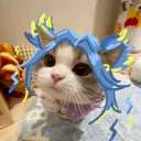 crapule95
