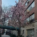 grayskies28