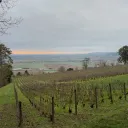 maxichrisssder