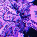 ejwave