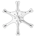 ericxu3351