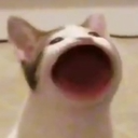 Retr0 avatar
