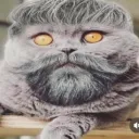 choco43 avatar