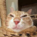 avatar ПростойАртёмка