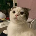 ed_b_