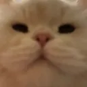 imadamx