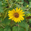 avatar 𝓟𝔁𝓲𝓶𝓮...