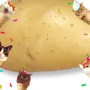gaypotatowithasonsoadaddy4571