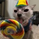 avatar scrumdiddyumptious