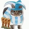 avatar Cattomatic
