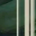 _nsg__