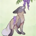 cascade_fox