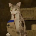 avatar ??