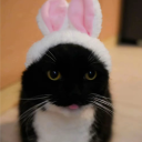 Discord Avatar