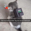Kapitoolbestormer123