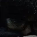 z_kko