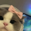 avatar Megs