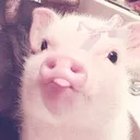 dudaljkk