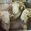 ramramram