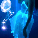 avatar ֺ ꒰ ྀི ƒαωn  ꒱ᣟ݂